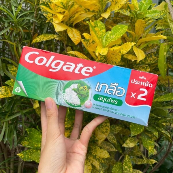 BKK Colgate Toothpaste Salt Herbal 150g (2 pcs)