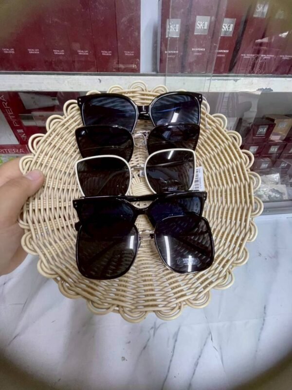 Taiwan Net Sunglasses