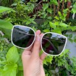 Taiwan Net Sunglasses
